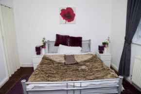 Nice and warm room in perfectly located home